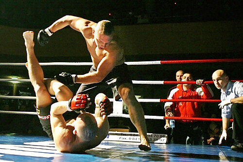 Boxen, Kickboxen, Ringen, Karate: Beim MMA ist viel erlaubt, aber nicht alles. Was wie eine brutale Schlägerei anmutet, hat viel mit Technik und Taktik zu tun.