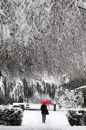 ... im schweizerischen Genf nimmt diese Spaziergängerin sicherheitshalber den Regenschirm zum Schutz gegen herunterfallende Schneebrocken mit.
