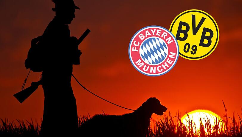Jäger und Gejagter: Der FC Bayern und Borussia Dortmund kämpfen um die Meisterschaft.