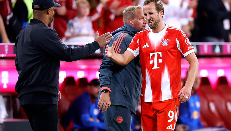 Kompany habe Kane "besser gemacht". Kompany habe Kane "besser gemacht".