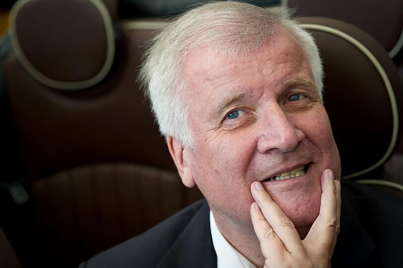 Horst Seehofer wird als CSU-Spitzenkandidat in den Wahlkampf für die Landtagswahl 2013 ziehen.