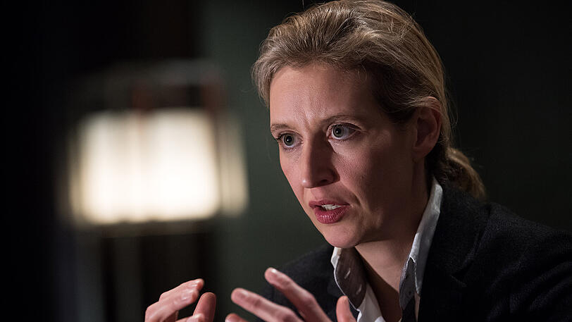 Fraktionschefin Alice Weidel sorgt mit ihren Aussagen für Wirbel.