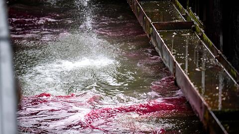 Ein roter Ölteppich bereitet sich auf dem Wasser aus.