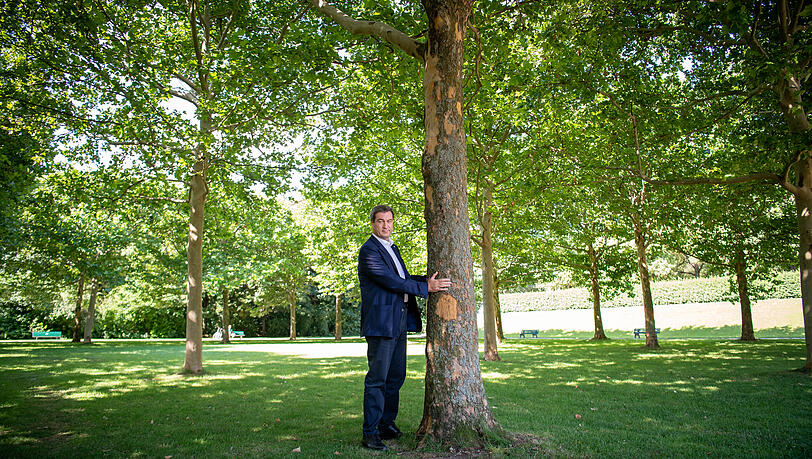 Damals noch demonstrativer Klimasch&uuml;tzer: Bayerns Ministerpr&auml;sident Markus S&ouml;der (CSU) umarmt 2019 einen Baum im Hofgarten hinter der Staatskanzlei.