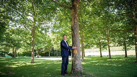 Damals noch demonstrativer Klimasch&uuml;tzer: Bayerns Ministerpr&auml;sident Markus S&ouml;der (CSU) umarmt 2019 einem Baum im Hofgarten hinter der Staatskanzlei.