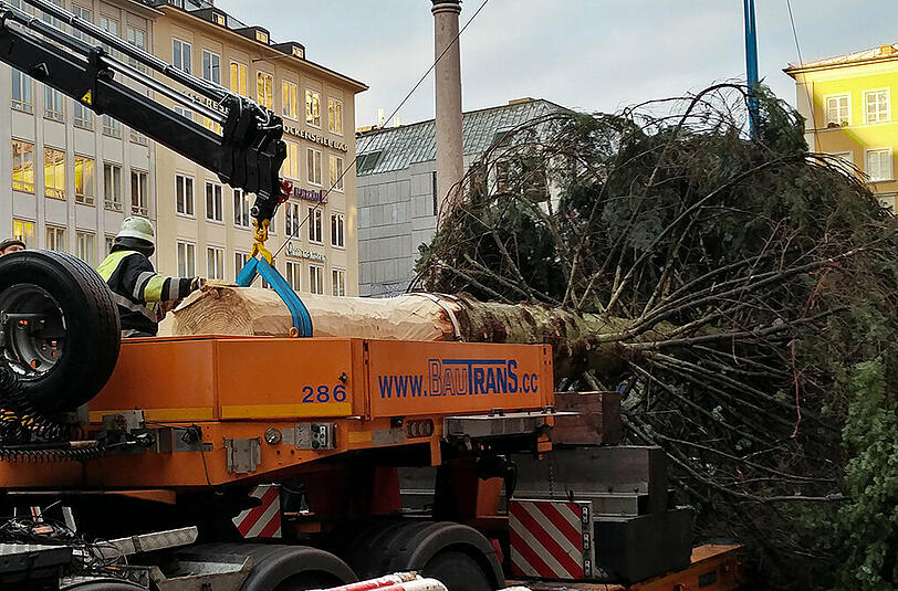 Der Christbaum ist da!