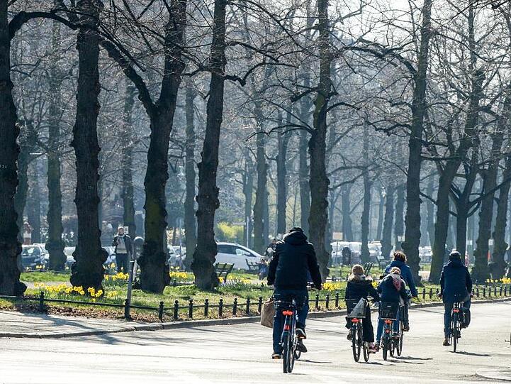 Radfahrer sind auf einer Straße unterwegs. Foto: Jens Kalaene/dpa-Zentralbild/ZB/Archivbild