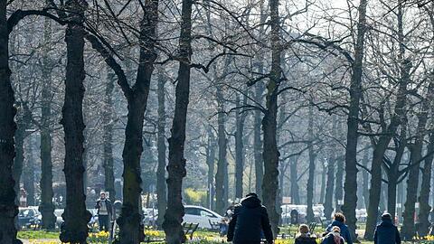 Radfahrer sind auf einer Straße unterwegs. Foto: Jens Kalaene/dpa-Zentralbild/ZB/Archivbild