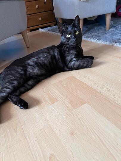 Luna