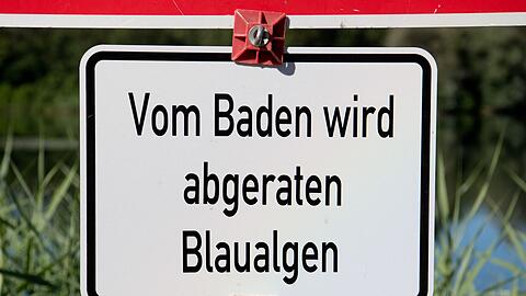 H&ouml;here Temperaturen beg&uuml;nstigen Cyanobakterien. (Archivbild)