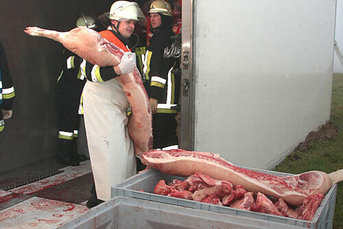 Da bekommt der Feuerwehrler unfreiwillig Metzger-Erfahrung: Ein Lkw kippte um und die Feuerwehr musste umladen. In diesem Fall eben bei Schweinehäften