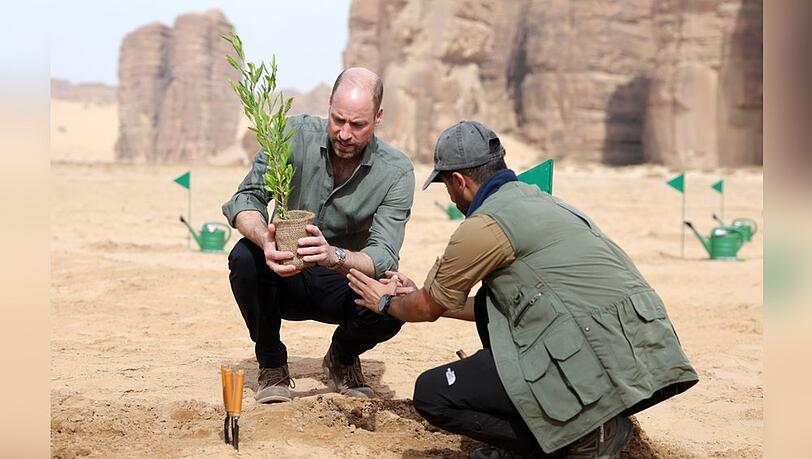 Prinz William pflanzt w&auml;hrend seines Besuchs im Sharaan-Naturschutzgebiet eine Akazie.