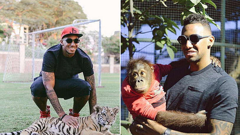 Jerome Boateng: Auf Kuschelkurs mit den Tieren dieser Welt. Jerome Boateng: Auf Kuschelkurs mit den Tieren dieser Welt.