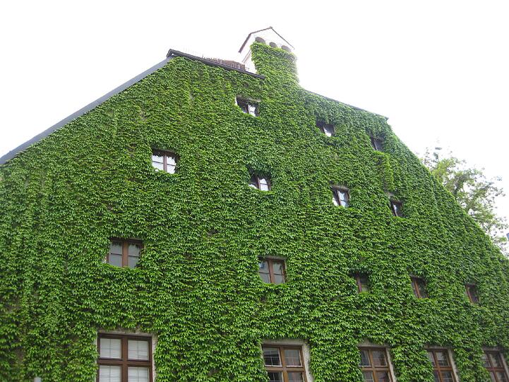 Haidhausen: Diese Hausfassade hat Aljoscha Laschgari fotografiert.