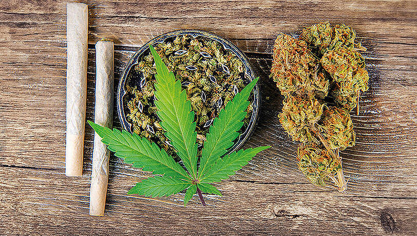 Welche Knackpunkte müssen im weiteren Legalisierungsprozess beachtet werden, damit die Freigabe von Cannabis gelingen kann? Das ist eine der Fragen, die Eva Hoch und Ulrich W. Preuss in ihrem Buch beantworten. Welche Knackpunkte müssen im weiteren Legalisierungsprozess beachtet werden, damit die Freigabe von Cannabis gelingen kann? Das ist eine der Fragen, die Eva Hoch und Ulrich W. Preuss in ihrem Buch beantworten.