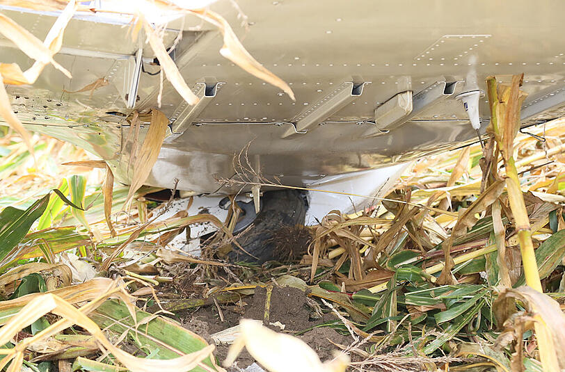 Ein einmotoriges Sportflugzeug landete nahe dem Flugplatz Mößling in einem Maisfeld: die Bilder von der Unfallstelle.
