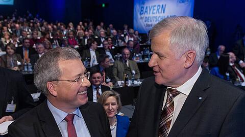 Gemeinsam für Europa, zumindest auf dem kleinen CSU-Parteitag: Horst Seehofer und EU-Spitzenkandidat Markus Ferber.