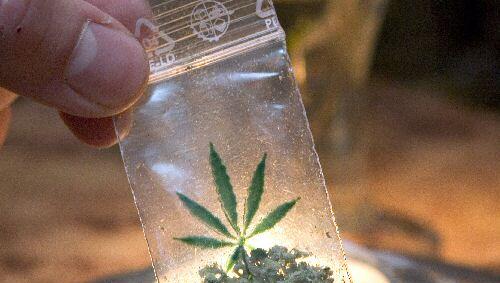 Marihuana (Symbolbild) Marihuana (Symbolbild)