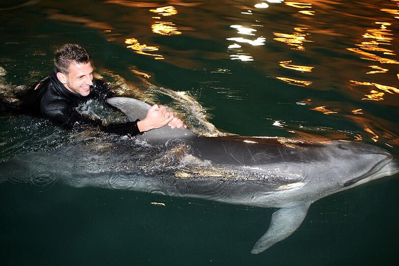 Für die Löwen ging's am Mittwoch noch tierisch zu: Im Delfinarium durften sie mit Flipper & Co. eine Runde schwimmen.