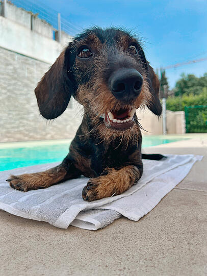 Hubert