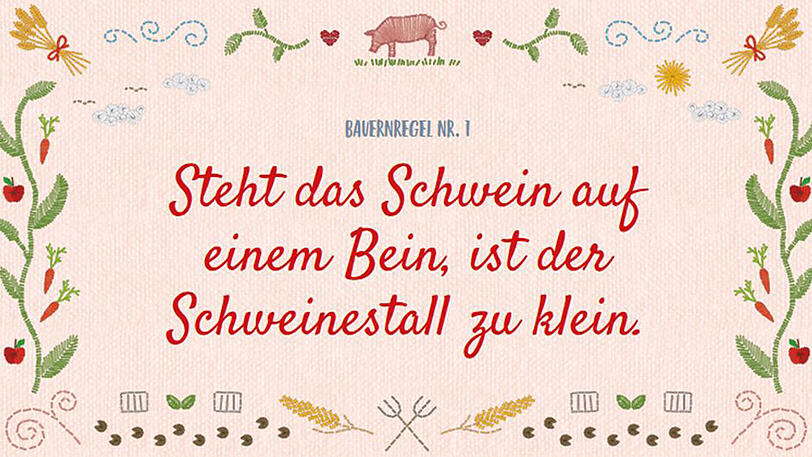 Streit um die "neuen Bauernregeln" von Umweltministerin Hendricks.