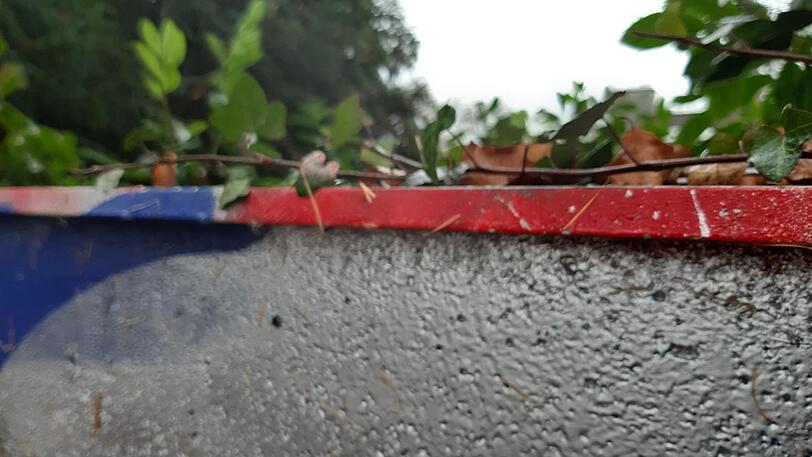 Haben die Löwen-Anhänger hier ein FCB-Graffiti übermalt? Rote Farbe am Mauerrand lässt diese Vermutung zu. Haben die Löwen-Anhänger hier ein FCB-Graffiti übermalt? Rote Farbe am Mauerrand lässt diese Vermutung zu.