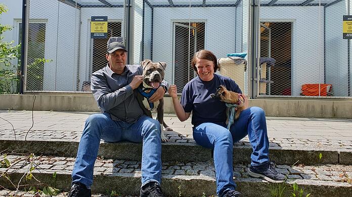 Claus Reichinger mit American Staffordshire Terrier Ace und Hündin Alfi im Arm von Tierheim-Leiterin Eva-Maria Natzer.