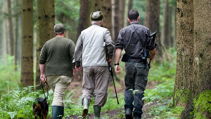 Anschließend machen sie sich mit einer Hundeführerin (links) auf den Weg in das Waldstück, in dem sich die ausgebüxte Kuh Yvonne versteckt hält. Anschließend machen sie sich mit einer Hundeführerin (links) auf den Weg in das Waldstück, in dem sich die ausgebüxte Kuh Yvonne versteckt hält.