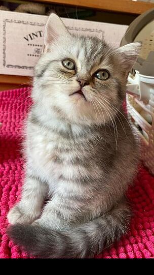 Charlie