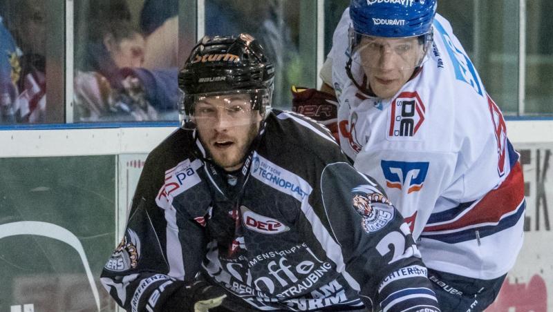 Maury Edwards (l) von Straubing kämpft mit David Wolf von Mannheim um den Puck. Foto: Armin Weigel/Archiv Maury Edwards (l) von Straubing kämpft mit David Wolf von Mannheim um den Puck. Foto: Armin Weigel/Archiv