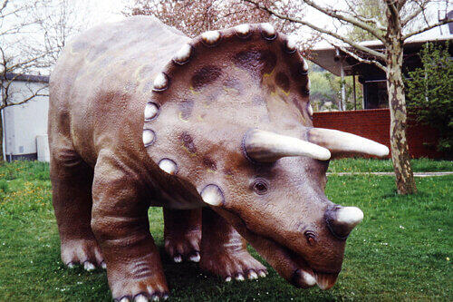 Der Pflanzenfresser Triceratops erreichte eine Länge von bis zu acht Metern. Sein Gewicht wird auf mehrere Tonnen geschätzt.