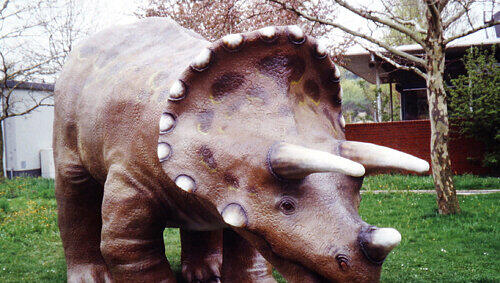 Der Pflanzenfresser Triceratops erreichte eine Länge von bis zu acht Metern. Sein Gewicht wird auf mehrere Tonnen geschätzt. Der Pflanzenfresser Triceratops erreichte eine Länge von bis zu acht Metern. Sein Gewicht wird auf mehrere Tonnen geschätzt.