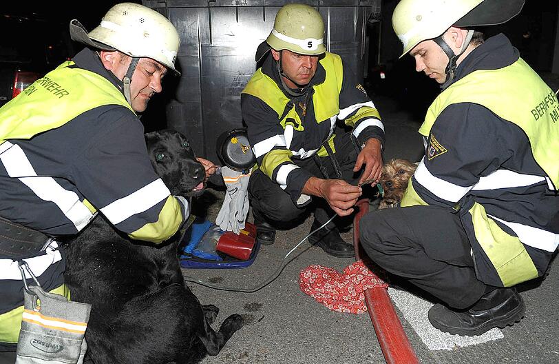 Werinherstraße:
Mehrere Anrufer melden in der Nacht ein Feuer in einem Wohnblock. Aus einem Fenster im Hochparterre schlagen Flammen. Alle Bewohner des fünfstöckigen Gebäudes werden von der Feuerwehr evakuiert und in einem Großraumrettungswagen untergebracht. Zwei Hunde sind noch in der Brandwohnung. Die Einsatzkräfte finden sie im ausgebrannten Wohnzimmer unter einer Couch. Sie leben und werden ins Freie gebracht. Bis zum Eintreffen der Tierrettung versorgen Feuerwehrleute die Tiere. Der Schaden liegt bei etwa 75.000 €.