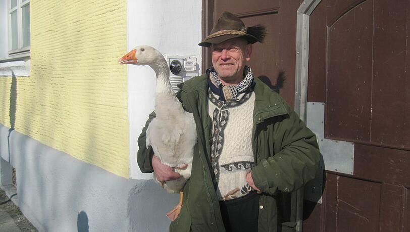 Das ist der „Gänse Heinrich“ – über seinen Umgang mit den gefiederten Tieren spalten sich die Geister. Das ist der „Gänse Heinrich“ – über seinen Umgang mit den gefiederten Tieren spalten sich die Geister.