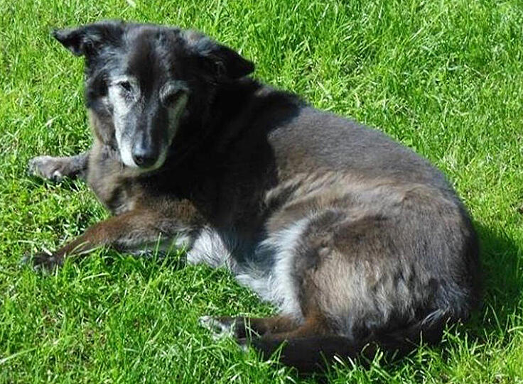 Wo ist der alte Camillo? Abendzeitung München