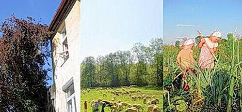 Obsternte vom eigenen Fenster aus, Schafe im Englischen Garten, Kinder bei der Gemüseernte: Urbane Landwirtschaft in München.