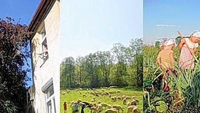 Obsternte vom eigenen Fenster aus, Schafe im Englischen Garten, Kinder bei der Gemüseernte: Urbane Landwirtschaft in München. Obsternte vom eigenen Fenster aus, Schafe im Englischen Garten, Kinder bei der Gemüseernte: Urbane Landwirtschaft in München.