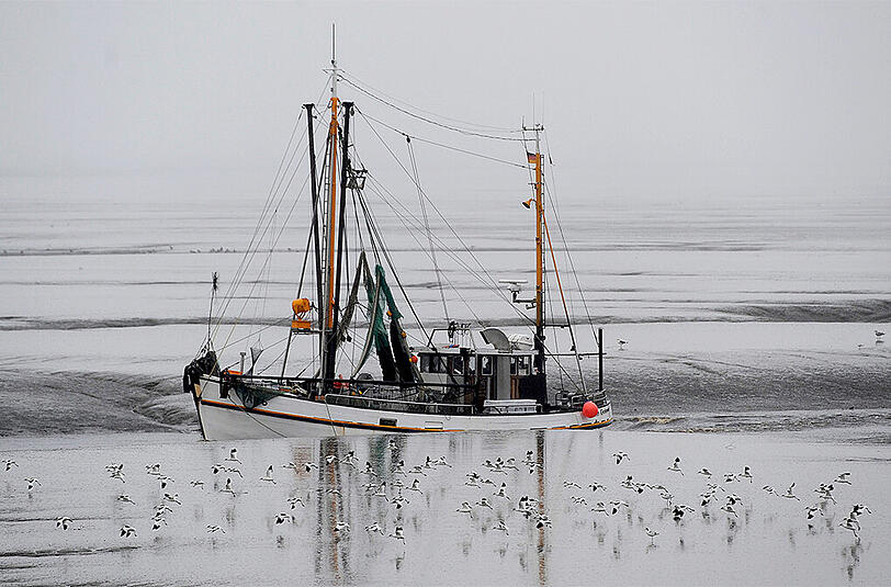 In der Fischerei arbeiten die EU-Staaten zusammen. Nun haben sie abgesprochen, wer wie viel Fisch im kommenden Jahr fangen darf. Umweltschützer kritisieren das Ergebnis.