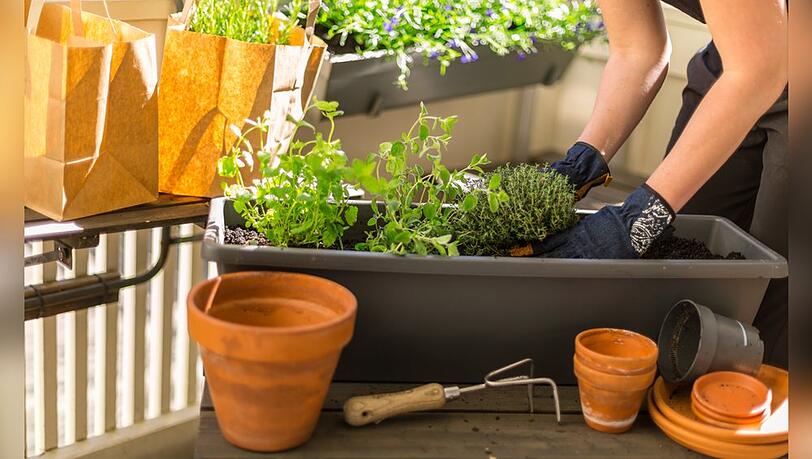 Kurz vor Frühlingsstart lässt sich auf dem Balkon schon einiges erledigen. Kurz vor Frühlingsstart lässt sich auf dem Balkon schon einiges erledigen.