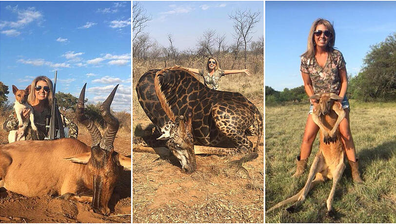 Die amerikanische Großwildjägerin Tess Thompson Talley posiert gerne mit toten Tieren. Die amerikanische Großwildjägerin Tess Thompson Talley posiert gerne mit toten Tieren.
