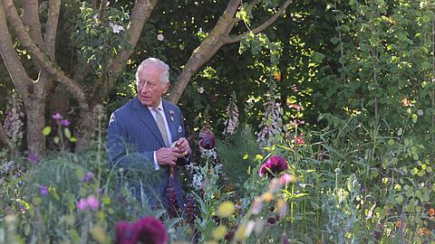 König Charles stützte sich beim Rundgang auf einen Stock.