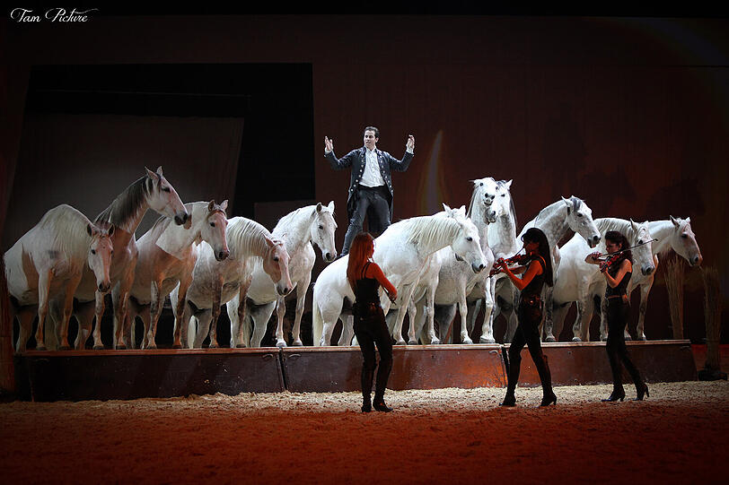Cavallo Clasico.