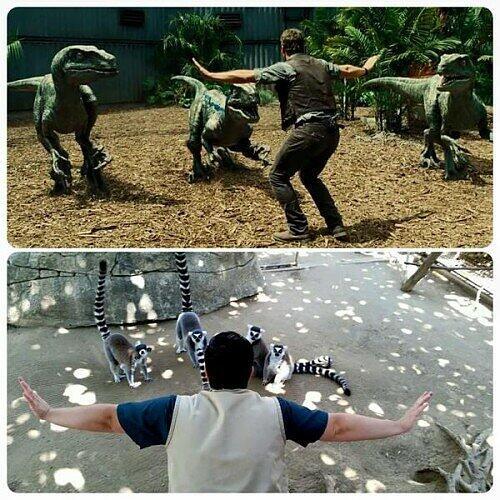 #JurassicZoo: Wenn Jurassic World Wirklichkeit wird