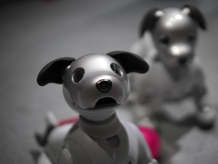 Der Roboter-Hund Aibo von Sony lernte neue Tricks.