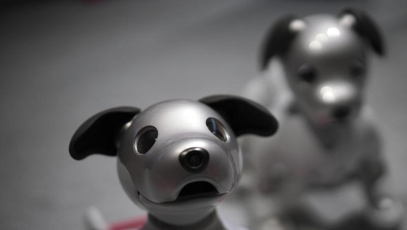Der Roboter-Hund Aibo von Sony lernte neue Tricks. Der Roboter-Hund Aibo von Sony lernte neue Tricks.