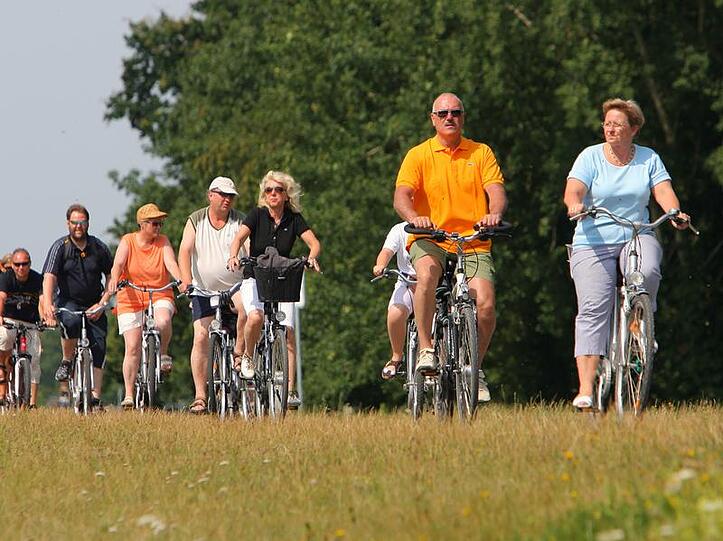Urlauber sind auf der Ostseehalbinsel Fischland-Darß-Zingst mit dem Fahrrad unterwegs. (Archivbild)