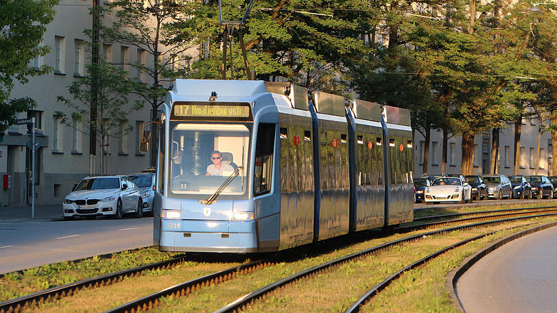 Ein grünes Dach für die Münchner Trambahnen?