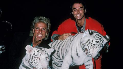 Siegfried (l.) und Roy mit ihren berühmten weißen Tigern.