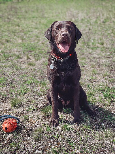Marley