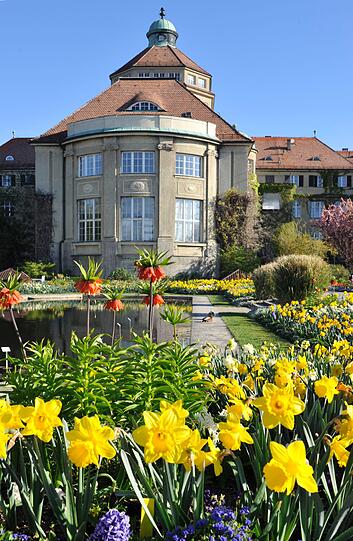 Der Schmuckhof mit dem Historischen Botanischen Institut.